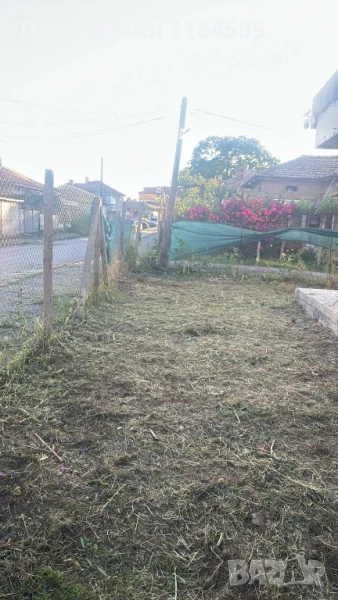 Косене и разчистване на имоти от храсти и  плевелна растителност, снимка 1