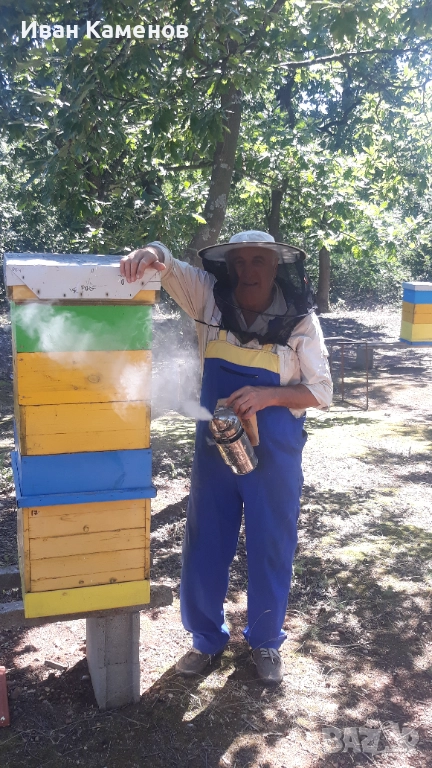 Пчелни Отвотки ДБ и пити с пило ДБ и ЛР2026г., снимка 1