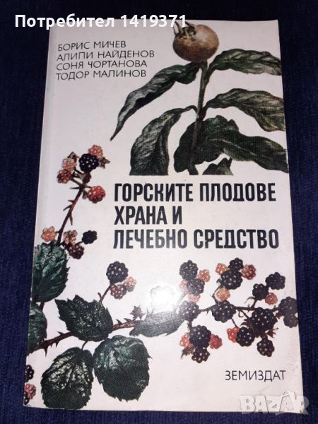 Горските плодове храна и лечебно средство - Борис Мичев, Алипи Найденов, Соня Чортанова, Тодор Малин, снимка 1