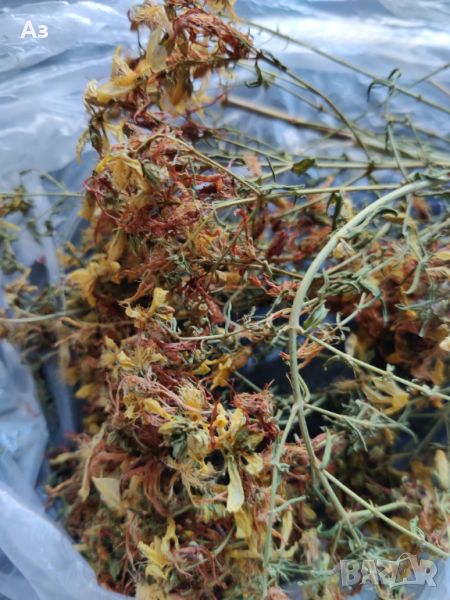 Продавам Жълт кантарион -  изсушена билка за чай, снимка 1