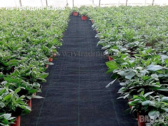 Здравейте! Продавам агротекстил-зебло против плевели 105 гр. бело, зелено и черно- Варна