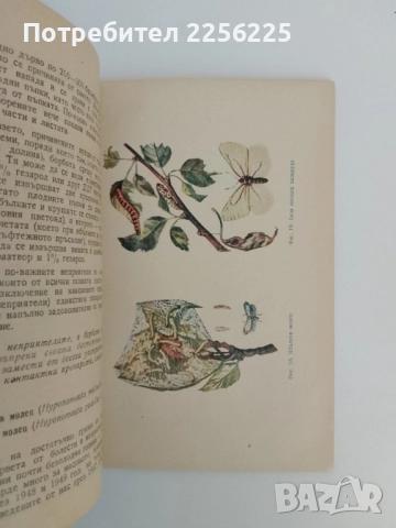 Употреблението на Газерола и другите ДДТ - препарати в овощарството, снимка 5 - Специализирана литература - 51530293