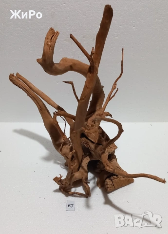 Корен от Азалия /декорация/ 67, снимка 2 - Други - 54102482