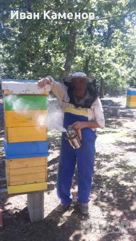 Пчелни Отвотки ДБ и пити с пило ДБ и ЛР2026г.