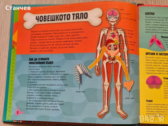 Прочети и сглоби! Човешкото тяло, снимка 3 - Игри и пъзели - 51496902