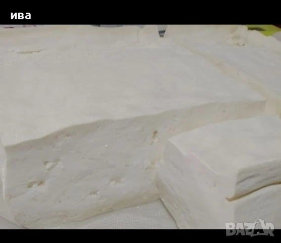 Домашно Биволско сирене , снимка 4 - Домашни продукти - 47145659