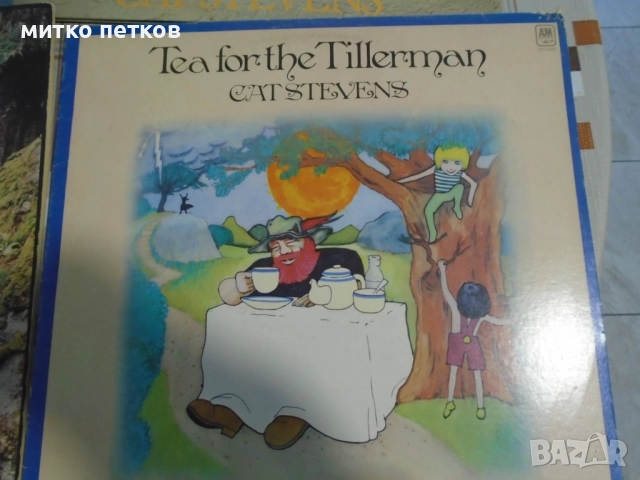 плочи Cat Stevens, снимка 5 - Грамофонни плочи - 52469439