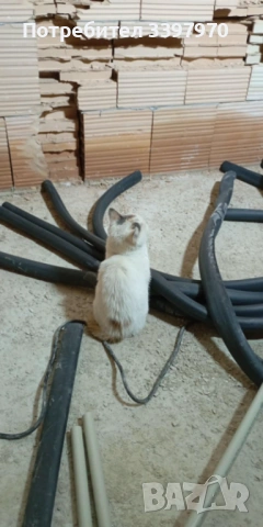 покриви,зидария, топлоизолация,боя,гранитогрес,фаянс, вик, ел , снимка 6 - Майстори - 53566230