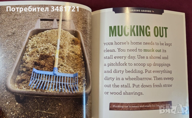 Грижа за конете / Caring for Horses, снимка 5 - Енциклопедии, справочници - 53748583