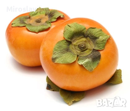 Райска ябълка (Сорт-Фую)-Без танин, снимка 4 - Градински цветя и растения - 52221764