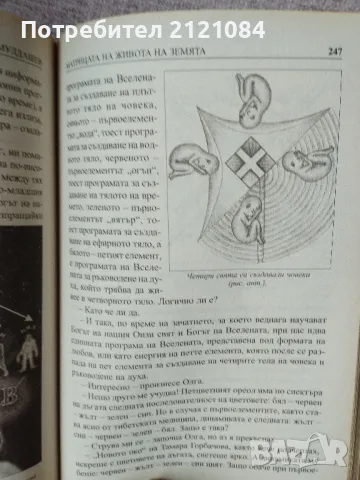 Матрицата на живота на земята / Ернст Мулдашев , снимка 4 - Езотерика - 47503621