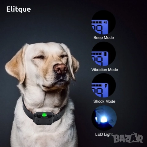 Електронен нашийник за обучение на кучета – Контрол, комфорт и безопасност във всяка тренировка