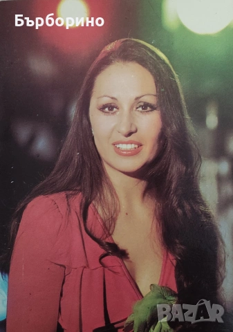 Снимки на популярни естрадни изпълнители