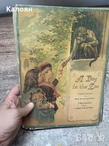 Панорамна детска английска книжка - ден в зоологическата градина , снимка 13 - Детски книжки - 46552355