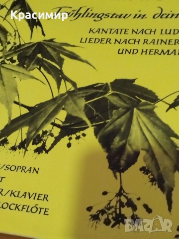 KARL MARX Винилова плоча , снимка 4 - Грамофонни плочи - 52507704