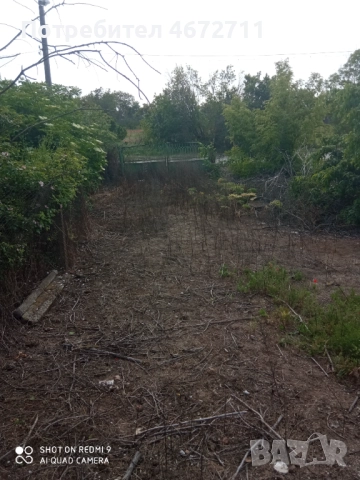 Дворно място с къща и стопански постройки, снимка 10 - Парцели - 52705176