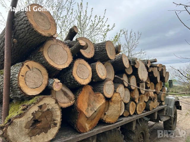 дърва за огрев , снимка 4 - Други услуги - 50447276