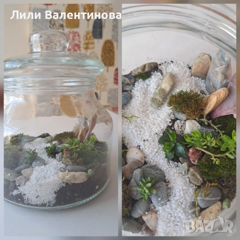 Терариуми, снимка 3 - Други стоки за дома - 54085481