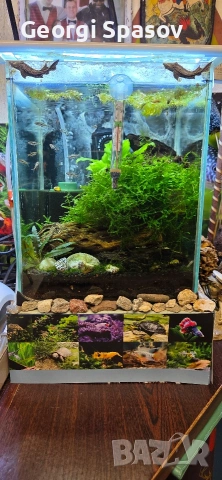 Продавам 10 л.аквариум