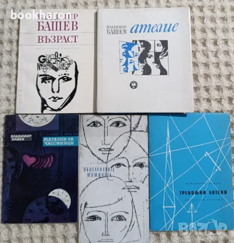 Владимир Башев, снимка 1