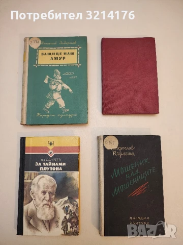 Михаил Василевич Фрунзе - П. Березов, снимка 3 - Художествена литература - 50974443