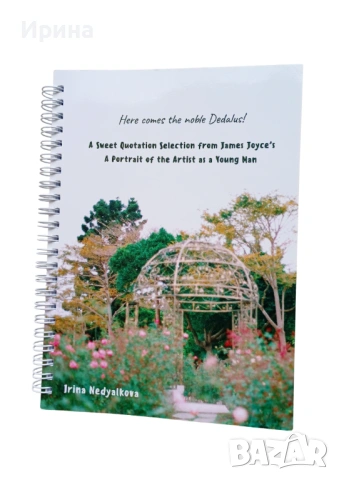 James Joyce's "A Portrait of the Artist as a Young Man" in quotation selections