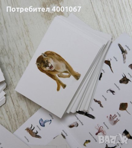 комплект карти с животни - 48 бр. , снимка 1 - Игри и пъзели - 46232793