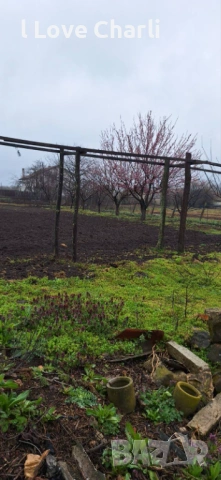 3.4 дка в с. Златия – ⚡ТОК 💧ВОДА ⛏️КЛАДЕНЕЦ 🌱ОРАНЖЕРИЯ ⚡ТРАФОПОСТ 🛣️АСФАЛТОВ ПЪТ, снимка 9 - Парцели - 54027636