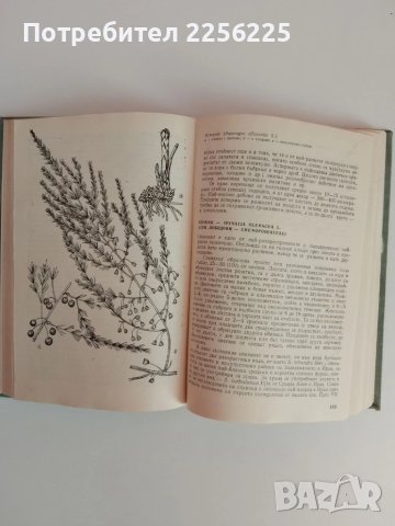Културните растения, снимка 6 - Специализирана литература - 51124615
