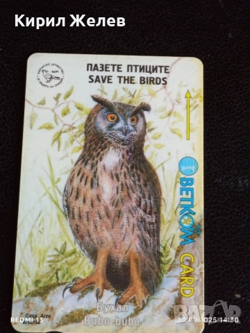 Три фонокарти БЕТКОМ тема ЖИВОТНИ БУХАЛ,СОВА,СКАЛОАЗКА за КОЛЕКЦИЯ 48623, снимка 9 - Колекции - 51666505