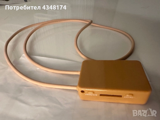 Класически бръмбар