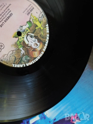 Грамофонни плочи х 15.00 лева, снимка 12 - Грамофонни плочи - 38920196