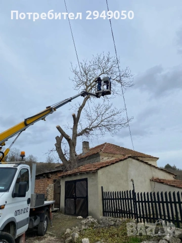 Рязане на опасни дървета и склони с вишка, снимка 2 - Други услуги - 54069204