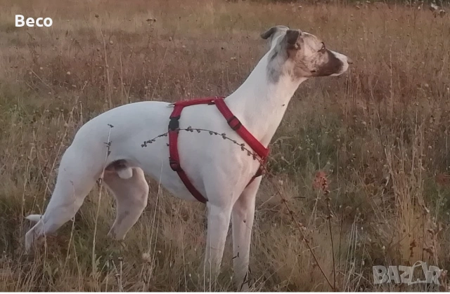 Сръчен приятел под наем за домашни ремонти