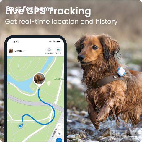 Tractive GPS Tracker & Здравен мониторинг за кучета, снимка 3 - За кучета - 46645971