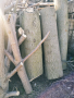 Пауловния / Paulownia сурова дървесина за обработка изработка дърворезба украса бичене декор, снимка 2
