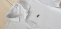 Lacoste Classic Fit Cotton Mens Size 4 - M НОВО! ОРИГИНАЛ! Мъжка Тениска!, снимка 1