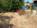 Парцел в Димитровград във вилна зона Габера, снимка 4