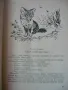 Приключенията на Лиско-  Борис Априлов- 1957г., снимка 6