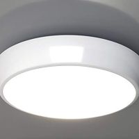 2D Polo Bulkhead LED лампа с превключваема мощност 9W 14W 18W и цветна температура, IP65, снимка 2 - Лампи за таван - 45326228