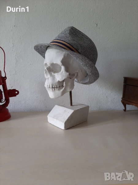 Модел на гипсов череп в реален размер, снимка 1