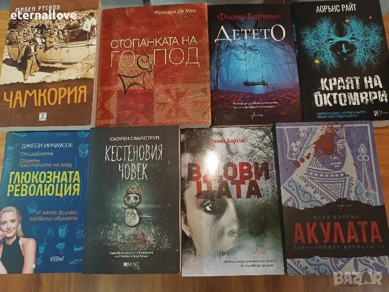 Нови книги, четени по веднъж , снимка 1