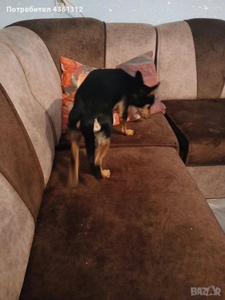 продавам, снимка 1