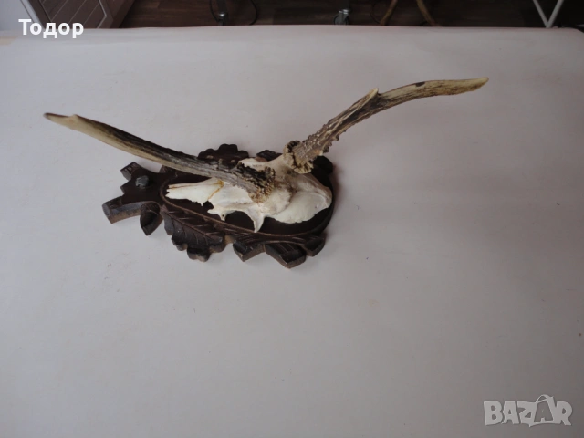 Ловен трофей рога дърворезба 14 , снимка 3 - Ножове - 54087359