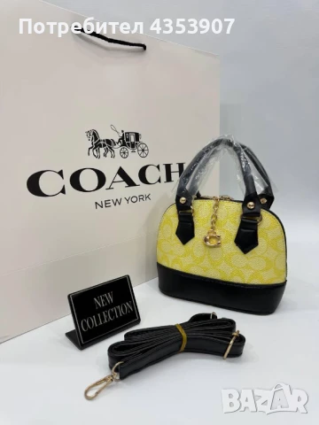 чанти coach
