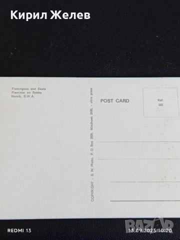 Четири пощенски картички ГДАНСК ПОЛША,СОЛУН ГЪРЦИЯ, БЕРКОВИЦА за КОЛЕКЦИОНЕРИ 5881, снимка 3 - Филателия - 51698329