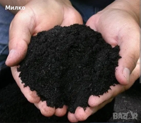 чернозем и горска пръст варна и околноста