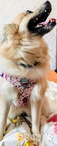 Футболна топка с вашето име!, снимка 7 - Футбол - 50393203