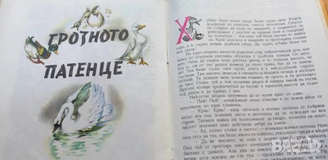 Дивите лебеди и други приказки - Ханс Кристиан Андерсен, снимка 11 - Детски книжки - 46873970