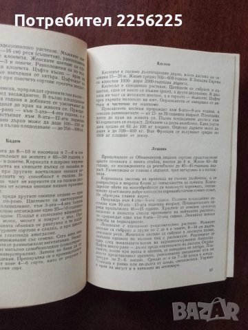 Справочник по овощарство, снимка 4 - Специализирана литература - 50611382